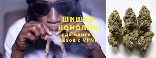 spice Богородицк