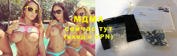 spice Богородицк