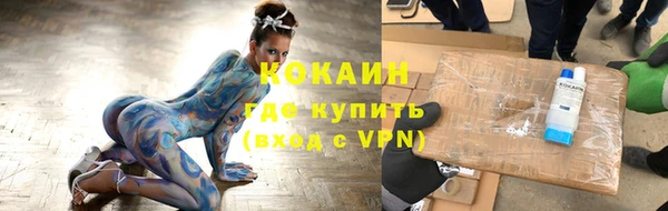 дживик Богородск