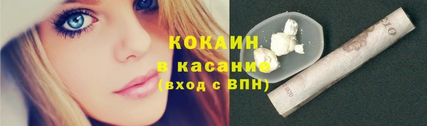spice Богородицк