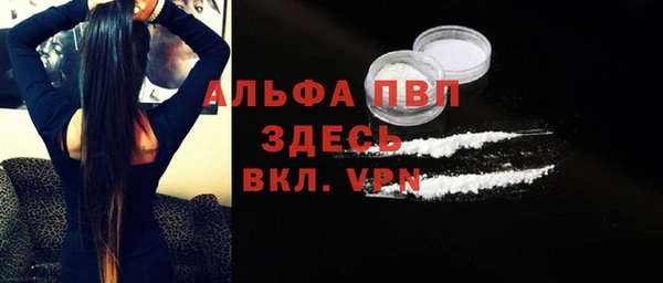 spice Богородицк