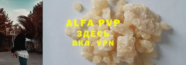 spice Богородицк