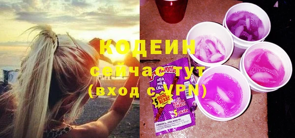 spice Богородицк