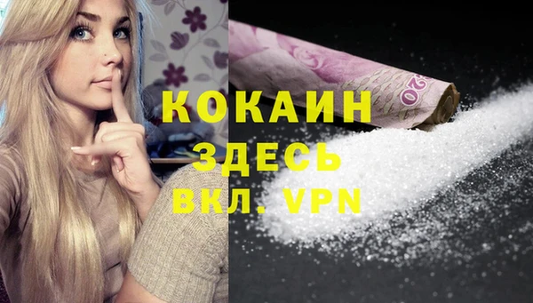 spice Богородицк