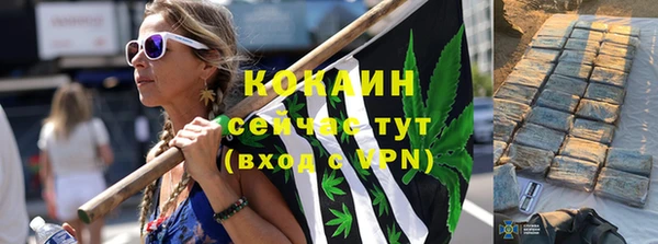 дживик Богородск