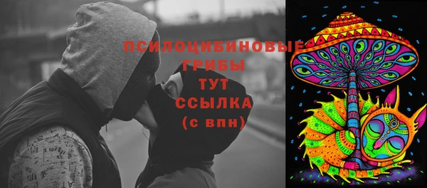 дживик Богородск