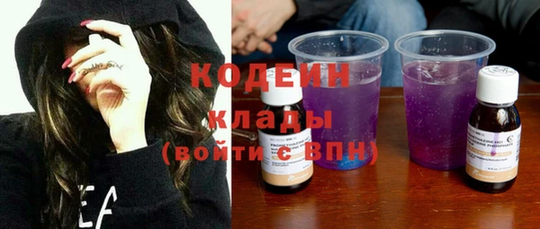 spice Богородицк