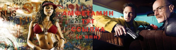 spice Богородицк