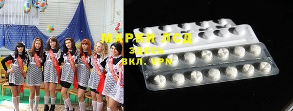 spice Богородицк